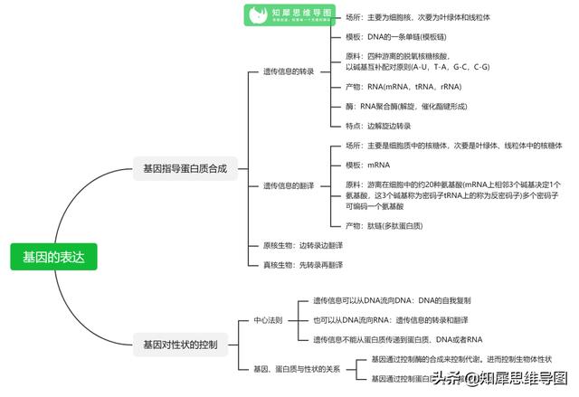 高中生物思维导图，高中生物思维导图简单11张（看透高中生物这20张思维导图）