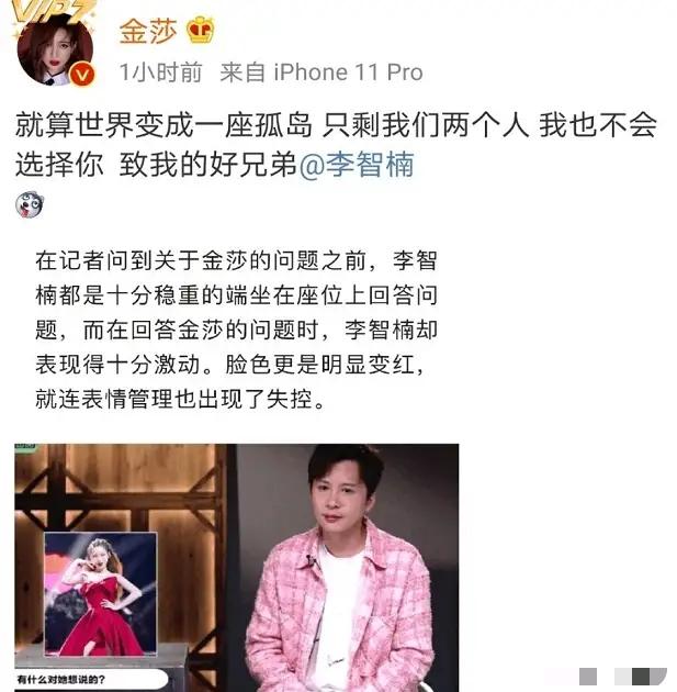 李智楠早年经历，“石延枫”李智楠：17岁爆红