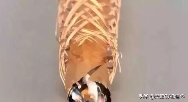 超六类双屏蔽网线什么样子，老师傅带你看懂屏蔽网线