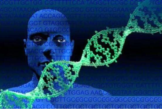 正常人类的染色体数量，科学家最新发现