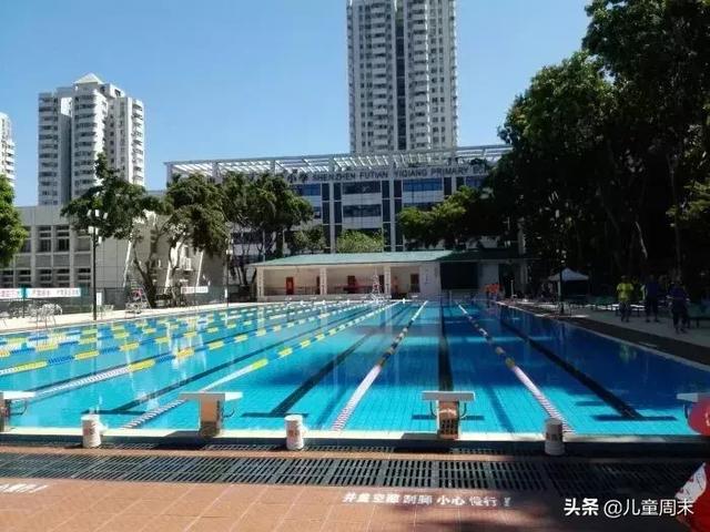 深圳游泳培训成人班，罗湖游泳培训
