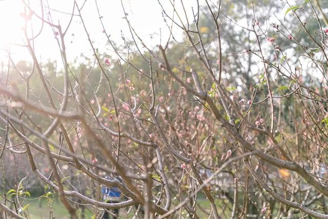 深圳游玩攻略必去的地方免费，7个遛娃好去处全免费