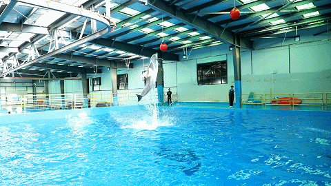 昆明梦幻联邦乐园什么值得玩，昆明周边惊现世界奇迹上的欢乐王国