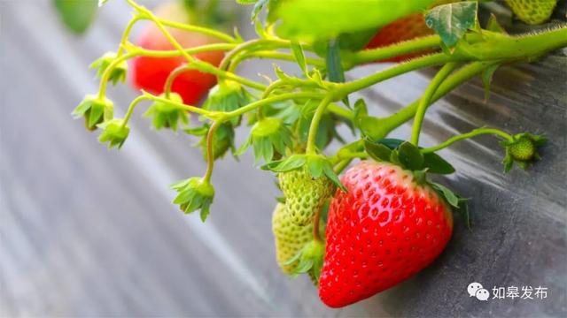 圣迹苍岩田园风光，邂逅最美下驾原