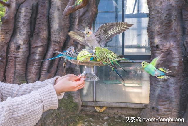 安吉旅游必去的景点，安吉旅游攻略必去景点推荐