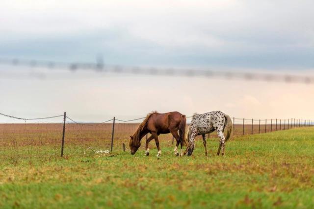 阿尔山的风景，《走进内蒙》景色迷人