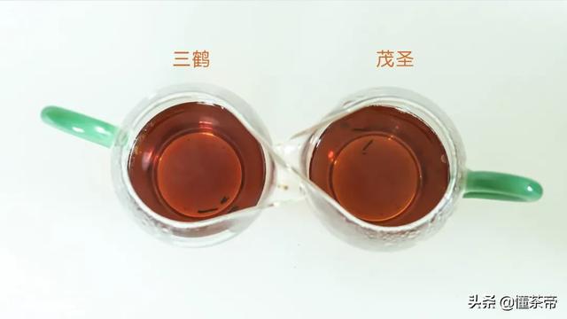 六堡茶有几种品质，评测六堡茶最知名两大品牌硬核PK