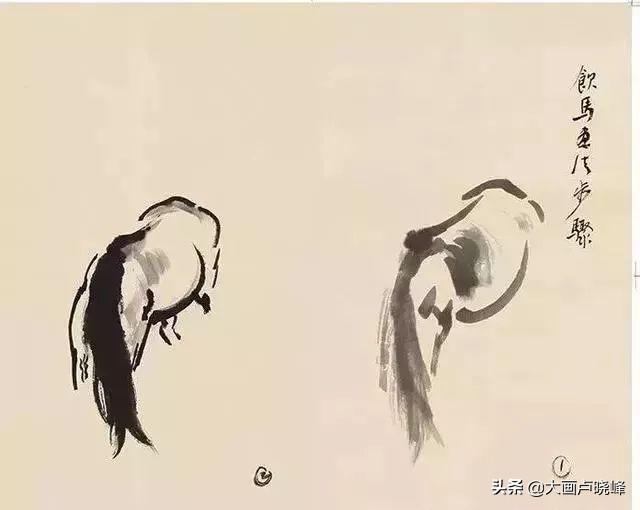 徐悲鸿画的马教程，看了徐悲鸿先生画马图解