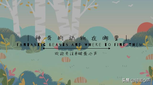 蜉蝣的生命意义，34朝生暮死