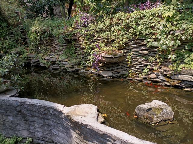 长沙市内十大公园，长沙本地人告诉你这10个地方不能少