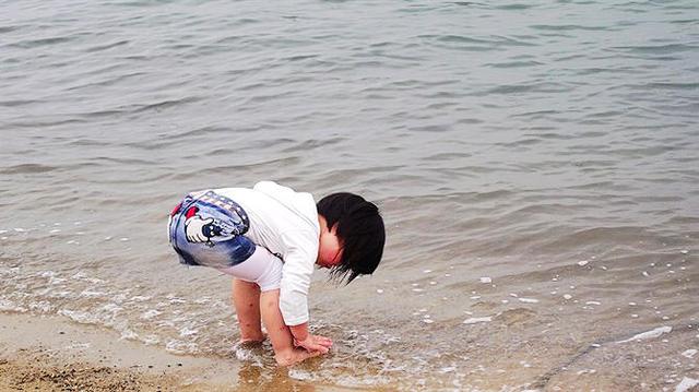 金山免费沙滩地点，周末清凉一“夏”奉贤碧海金沙和金山城市沙滩游玩攻略来啦