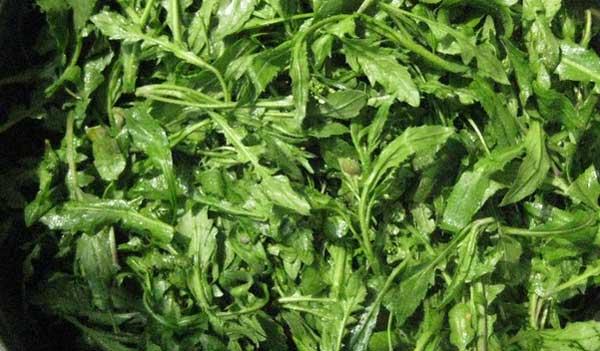 这32种常见可食用的野菜，这6种野菜农村最热门