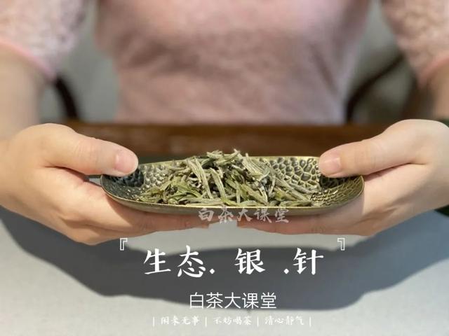 寿眉白茶怎么泡，如何冲泡白茶寿眉（图解白茶寿眉冲泡完整流程）