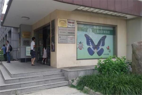 上海动漫博物馆，上海哪些博物馆值得去（没去过这几家动漫博物馆）