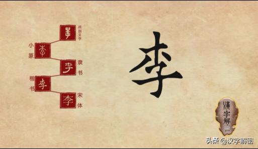 关于姓李的历史由来，姓李的朋友注意
