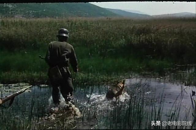 电影南斯拉夫桥，一部惊艳荧屏的战争老电影