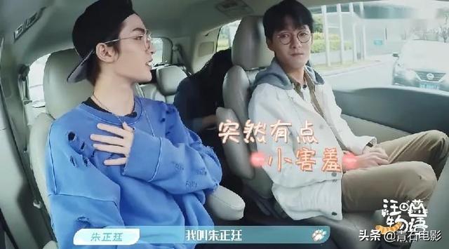 朱正廷养宠物综艺，朱正廷、张雨剑与流浪狗同居的节目