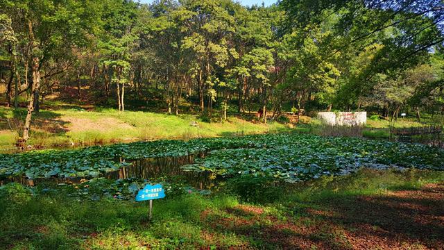 淮南是哪个省的，安徽淮南市属于哪个市（为何淮南房价如此之低）