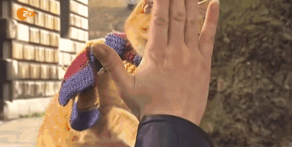 柳城县旅游攻略，攻略柳人游柳