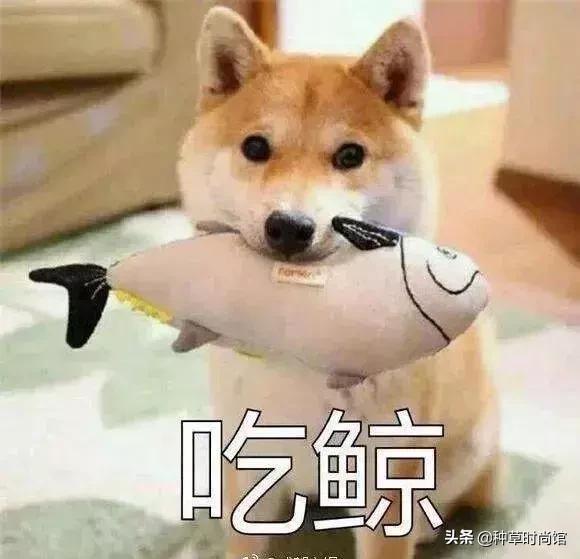 屈臣氏是卖什么的，屈臣氏必买10件良心产品（屈臣氏，大事不妙）