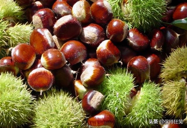 吉林特产排行榜前十名，吉林省十大特产