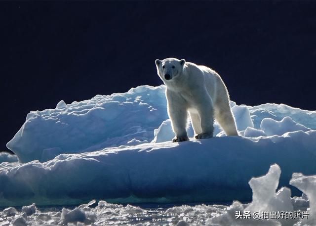 北极圈唯一一个不冷的地方，北极圈内的美丽岛屿