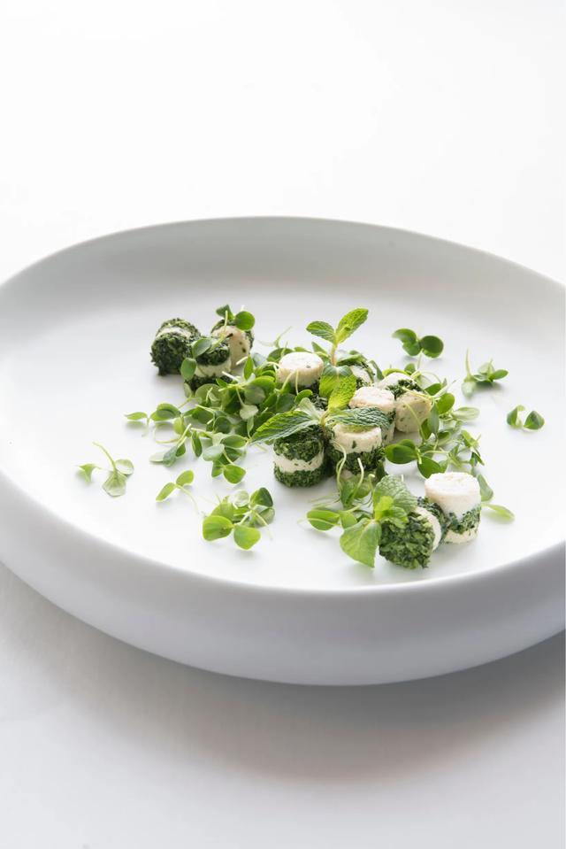 椿花，椿花开放的时节