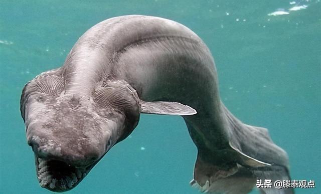 人类探索海底世界有多深，人类究竟发现了什么