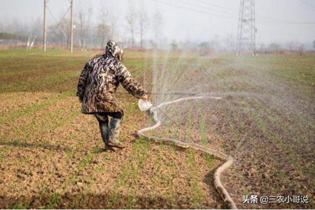 小麦什么时候播种，小麦什么时候播种最好（小麦该播种了，播期要推迟吗）