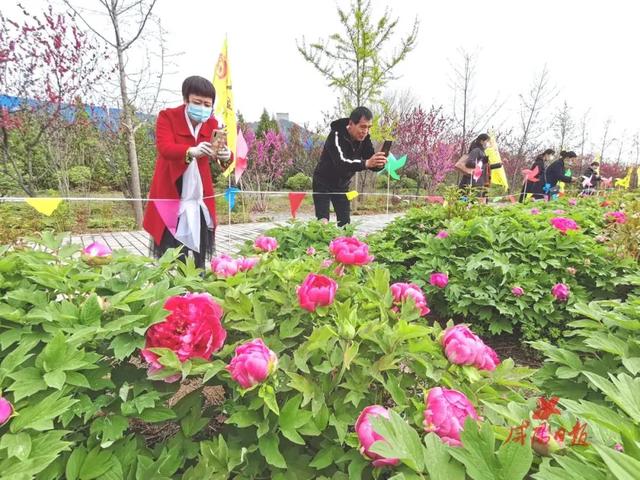 咸阳旅游详细攻略，必去游玩的景点有哪些