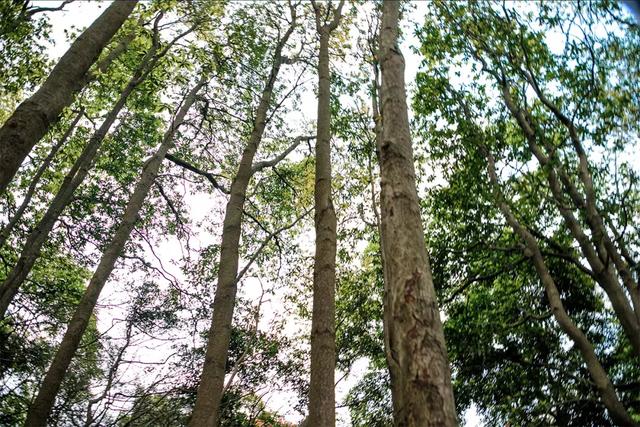 深圳十大山风景区，推荐10个非常值得一去的登山打卡点