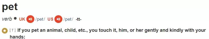 英文描述宠物猫，宠物必备英语遛狗