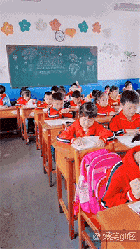 人类幼崽这个梗是怎么来的，人类幼崽？喵星人？汪星人