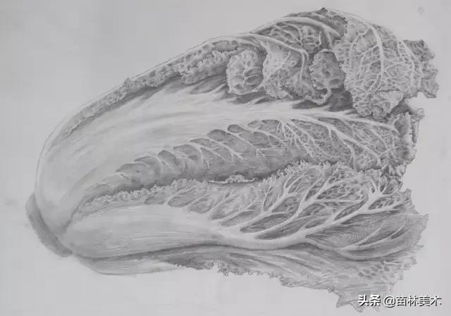 学画画零基础先学什么，零基础素描应该先练什么（零基础绘画教程，值得收藏）