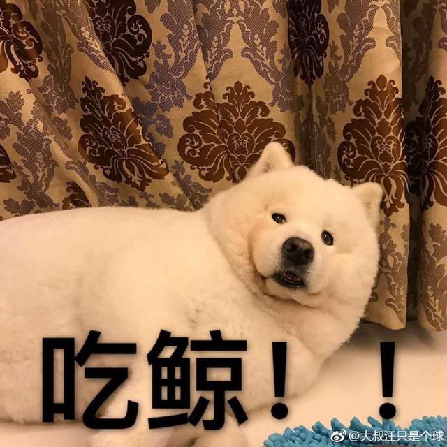 05后多少心酸只有00后才懂，现在的05后都发什么样的朋友圈