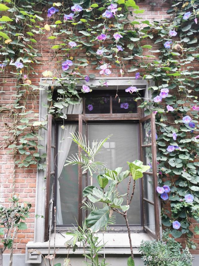 南京的老门东景区在哪里，最能体现老南京历史风貌的景区