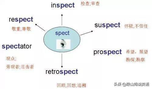 英语单词思维导图，英语词汇思维导图教程（史上最全思维导图）