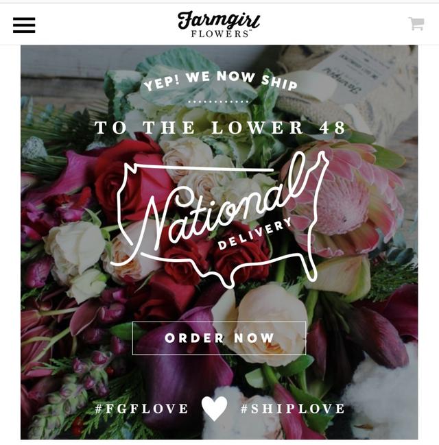 互联网花店的市场分析，3家外国线上花店