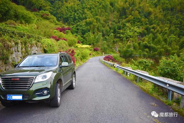 四明山好玩的景点大全，四明山游记