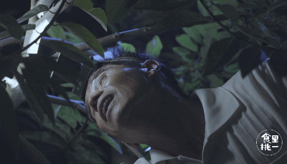 又贵又好吃稀有热带水果，一过中秋就消失