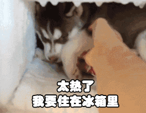 腋臭止汗露李佳琦(腋臭止汗露哪个牌子好)