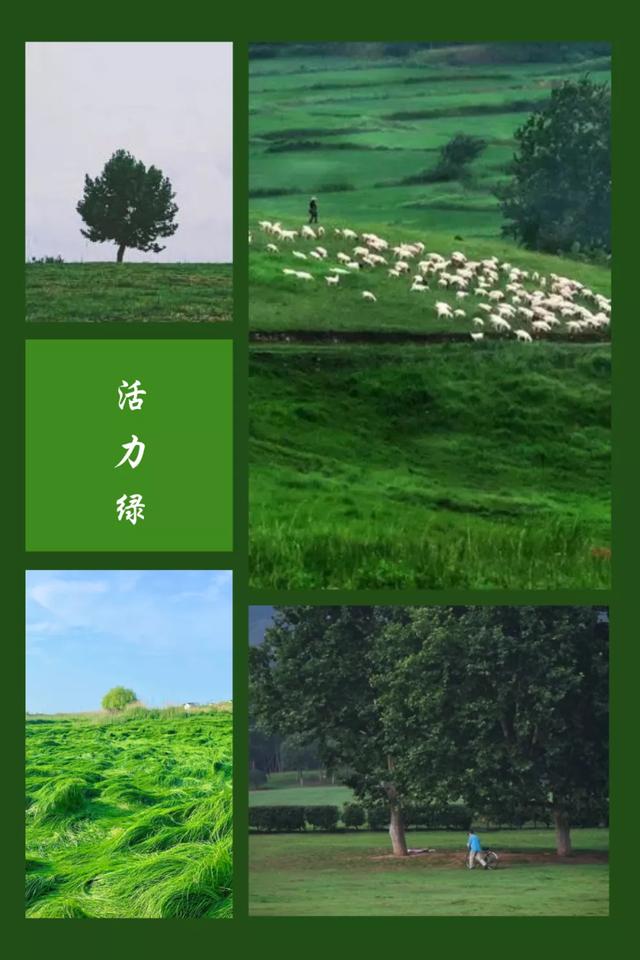 南京国庆活动推荐，南京国庆假期游玩优惠