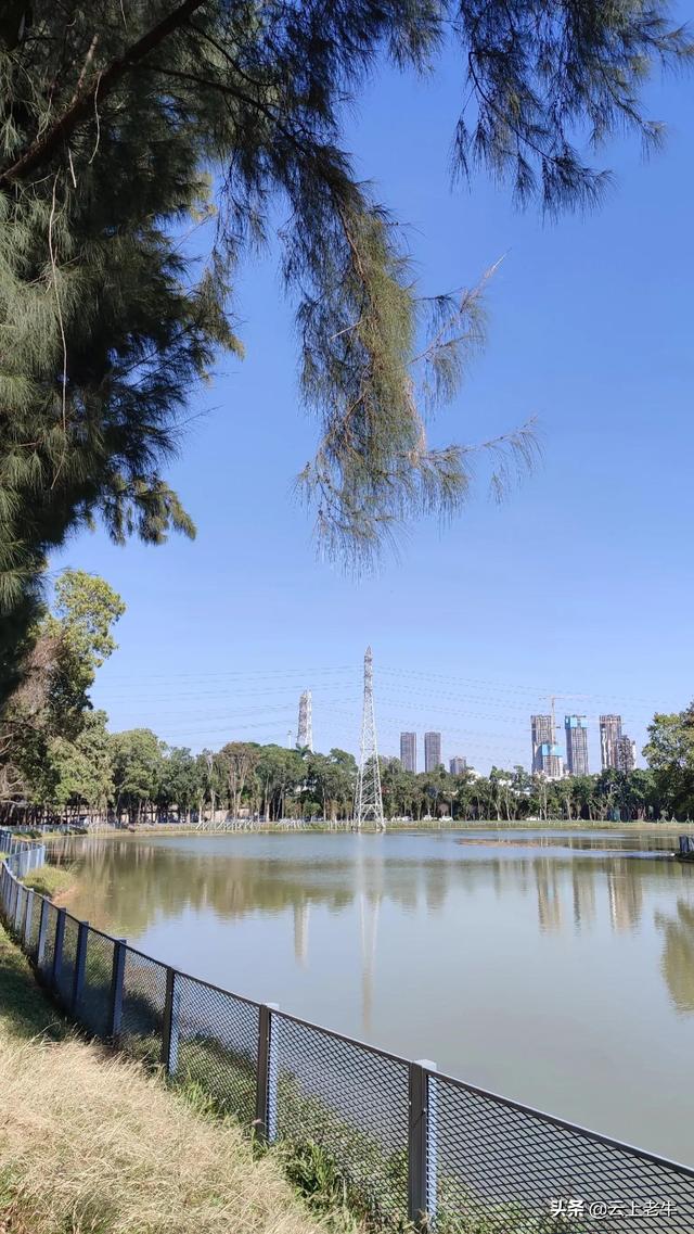 中山古镇湿地公园一日游，南头古城中山公园