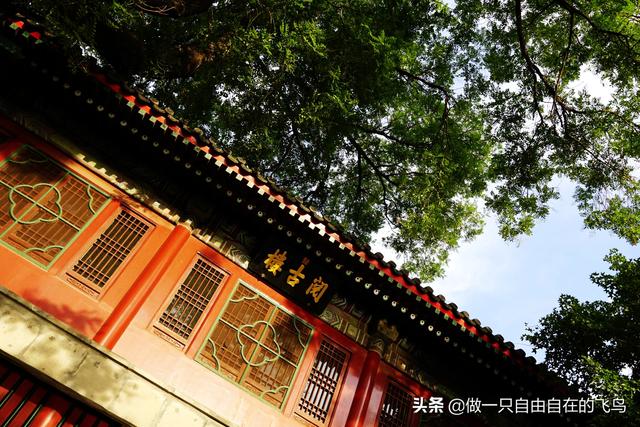 北海公园景点介绍，北海公园旅游攻略（北京周末去哪儿——北海公园）