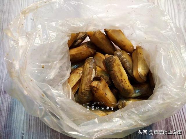 蛏子怎么做才好吃，蛏子要怎么吃（蛏子要这样做才好吃）