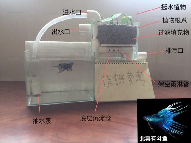 沼泽过滤是不是比别的好，买硝化细菌粉末粉还是液体