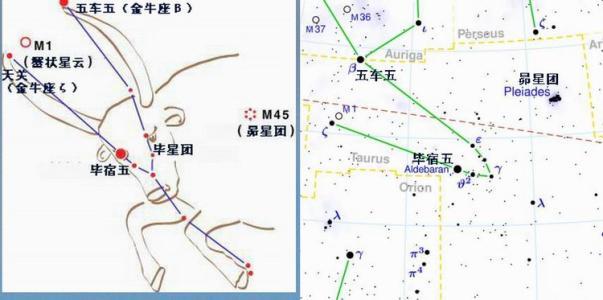 「金牛座」的四种不同性格（9月29日是什么星座）插图1