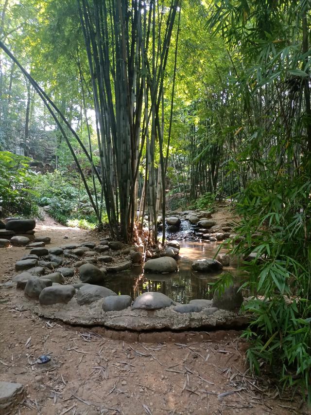 长沙市内十大公园，长沙本地人告诉你这10个地方不能少