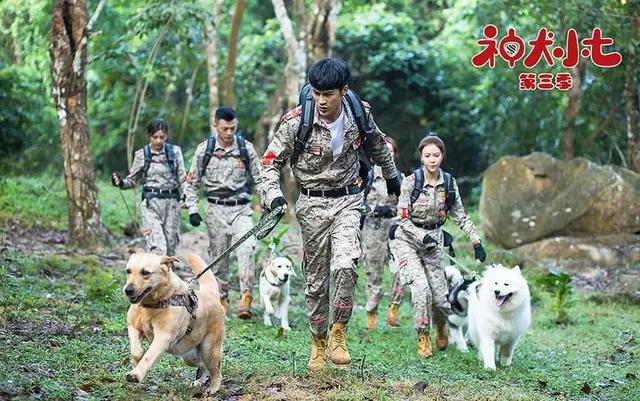 神犬小七第三部，姜潮宋妍霏携手萌娃救援现场展实力