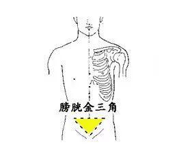 脏器排毒时间表，人体六大器官排毒时间表（器官真的会按照时间表排毒吗）